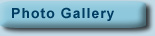 Photo Gallery